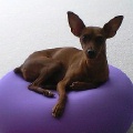 maggie